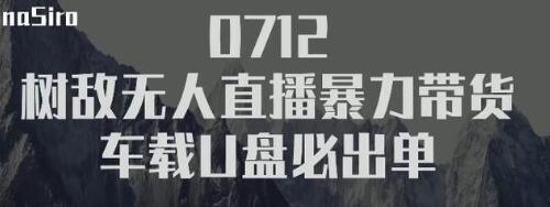 树敌‮习研‬社抖音无人直播暴力带货车载U盘必出单，单号单日产出300纯利润-成可创学网