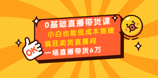 0基础直播带货课：小白也能低成本搭建疯狂卖货直播间：1场直播带货6万-成可创学网