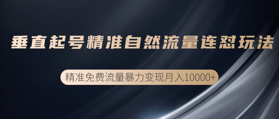 垂直起号精准自然流量连爆玩法，精准引流暴力变现月入10000+-成可创学网