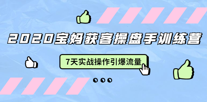 2020宝妈获客操盘手训练营：7天实战操作引爆 母婴、都市、购物宝妈流量-成可创学网