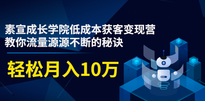 素宣成长学院低成本获客变现营，教你流量源源不断的秘诀，轻松月入10万-成可创学网