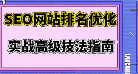 樊天华·SEO网站排名优化实战高级技法指南，让客户找到你-成可创学网