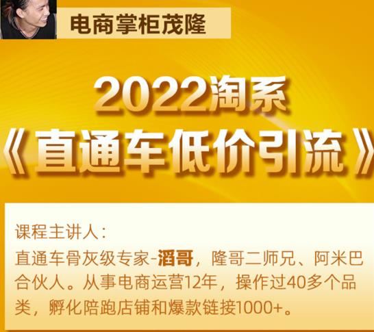 茂隆2022直通车低价引流玩法，教大家如何低投入高回报的直通车玩法-成可创学网