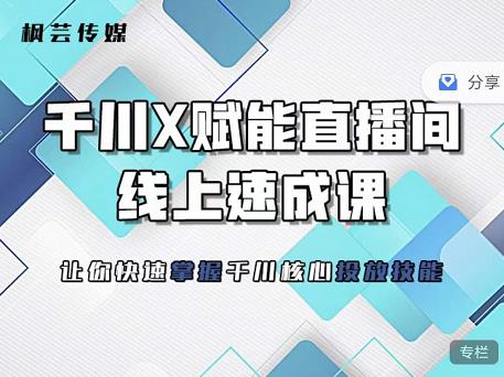 枫芸传媒-线上千川提升课，提升千川认知，提升千川投放效果-成可创学网