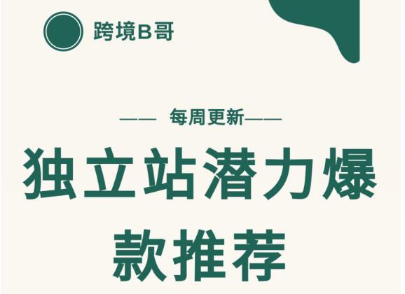 【跨境B哥】独立站潜力爆款选品推荐，测款出单率高达百分之80-成可创学网