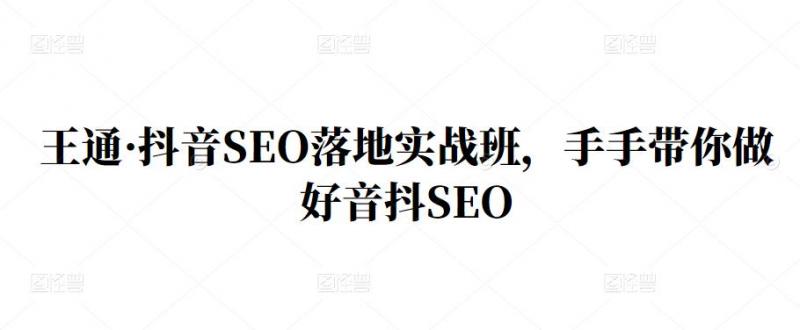 王通·抖音SEO落地实战班，手‬手带你做好音抖‬‬SEO-成可创学网