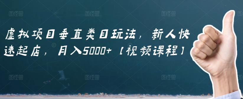 虚拟项目垂直类目玩法，新人快速起店，月入5000+【视频课程】-成可创学网