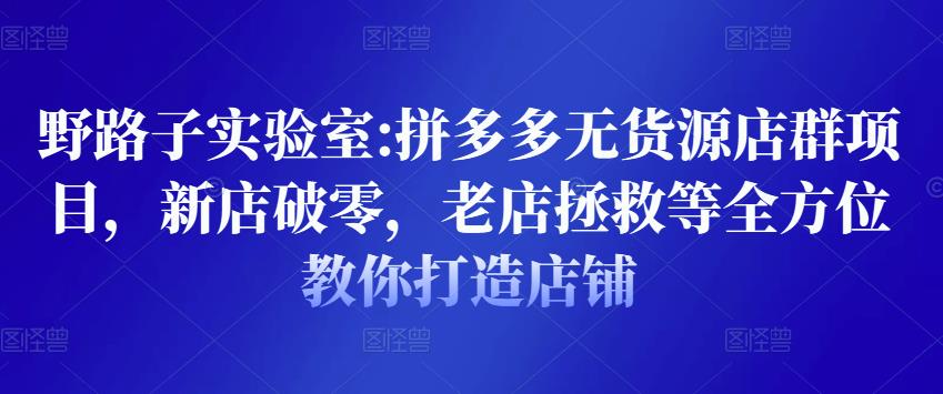 野路子实验室:拼多多无货源店群项目，新店破零，老店拯救等全方位教你打造店铺-成可创学网