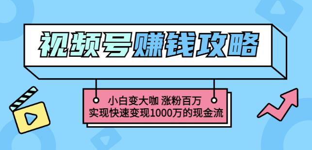 玩转微信视频号赚钱：小白变大咖涨粉百万实现快速变现1000万的现金流-成可创学网