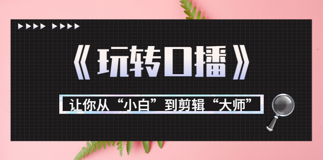 月营业额700万+大佬教您《玩转口播》让你从“小白”到剪辑“大师”-成可创学网