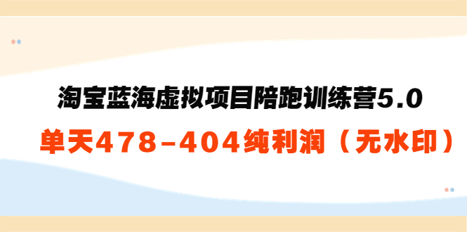 淘宝蓝海虚拟项目陪跑训练营5.0：单天478纯利润-成可创学网