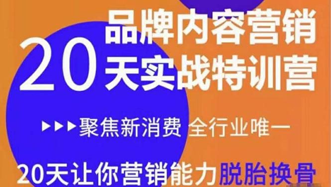 《内容营销实操特训营》20天让你营销能力脱胎换骨（价值3999）-成可创学网