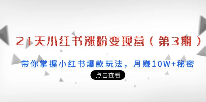 21天小红书涨粉变现营（第3期）：带你掌握小红书爆款玩法，月赚10W+秘密-成可创学网