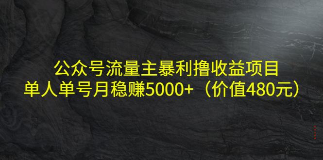 公众号流量主暴利撸收益项目，单人单号月稳赚5000+（价值480元）-成可创学网