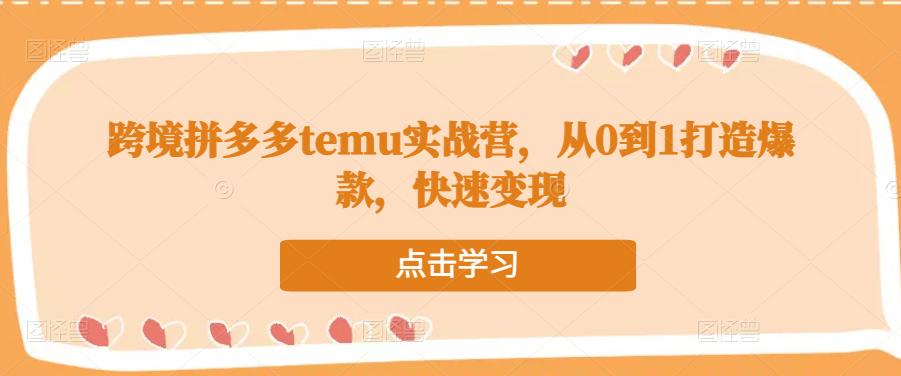 跨境拼多多temu实战营，从0到1打造爆款，快速变现-成可创学网