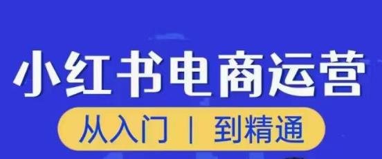 顽石小红书电商高阶运营课程，从入门到精通，玩法流程持续更新-成可创学网