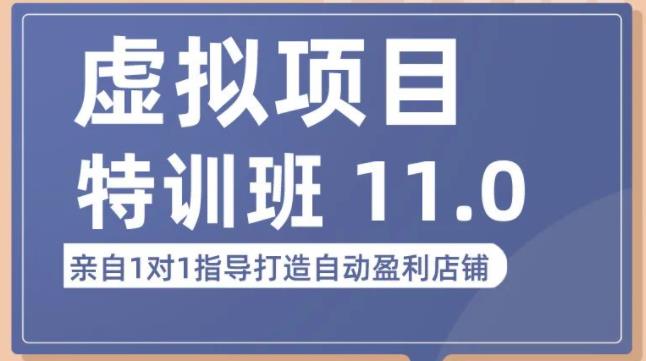 陆明明·虚拟项目特训班（10.0+11.0），0成本获取虚拟素材，0基础打造自动盈利店铺-成可创学网