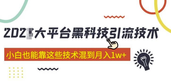 大平台黑科技引流技术，小白也能靠这些技术混到月入1w+(2022年的课程）-成可创学网