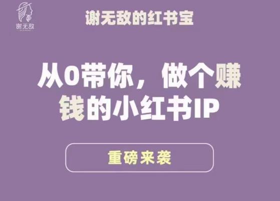 谢无敌·小红书运营大宝典，从0带你做个赚钱的小红书IP-成可创学网