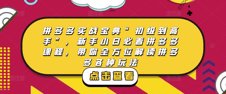 拼多多实战宝典“初级到高手”，新手小白必看拼多多课程，带你全方位解读拼多多各种玩法-成可创学网