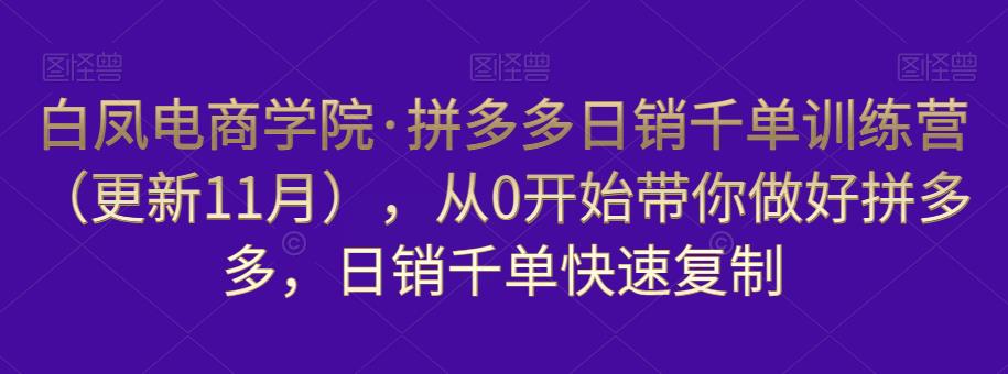 白凤电商学院·拼多多日销千单训练营，从0开始带你做好拼多多，日销千单快速复制（更新知2023年3月）-成可创学网