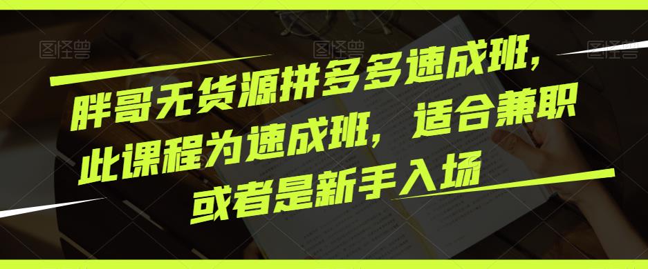 胖哥无货源拼多多速成班，此课程为速成班，适合兼职或者是新手入场-成可创学网