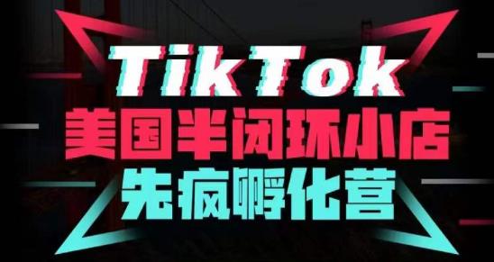 疯人院·TikTok美国半闭环小店孵化营，抢占TikTok美国蓝海市场，开店、运营、带货、投流全实操-成可创学网