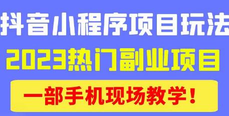 抖音小程序9.0新技巧，2023热门副业项目，动动手指轻松变现-成可创学网