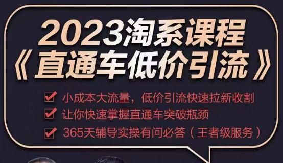 2023直通车低价引流玩法课程，小成本大流量，低价引流快速拉新收割，让你快速掌握直通车突破瓶颈-成可创学网