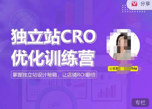 独立站CRO优化训练营，掌握独立站设计秘籍，打造高转化的独立站，让店铺ROI翻倍-成可创学网