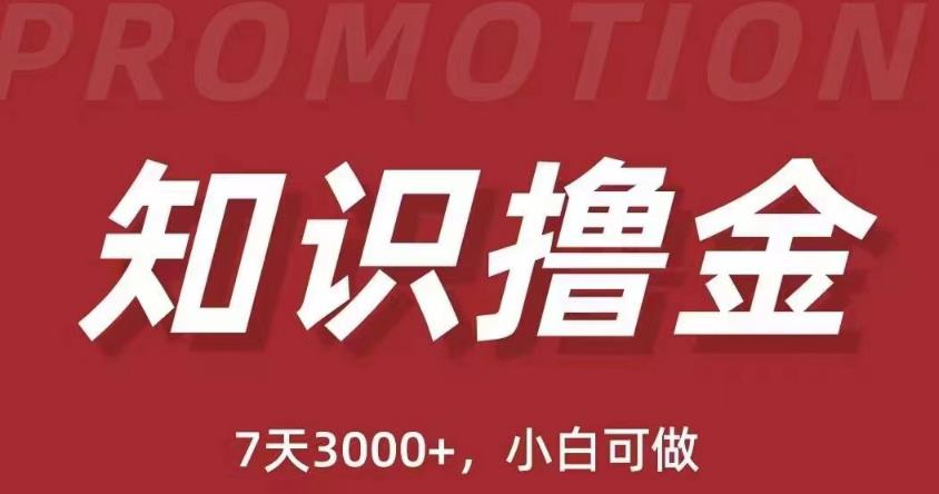 抖音知识撸金项目：简单粗暴日入1000+执行力强当天见收益(教程+资料)-成可创学网