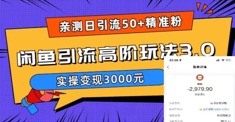 亲测日引50+精准粉，闲鱼引流高阶玩法3.0，实操变现3000元【揭秘】-成可创学网