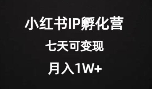 价值2000+的小红书IP孵化营项目，超级大蓝海，七天即可开始变现，稳定月入1W+-成可创学网