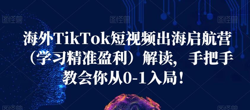 海外TikTok短视频出海启航营（学习精准盈利）解读，手把手教会你从0-1入局！-成可创学网