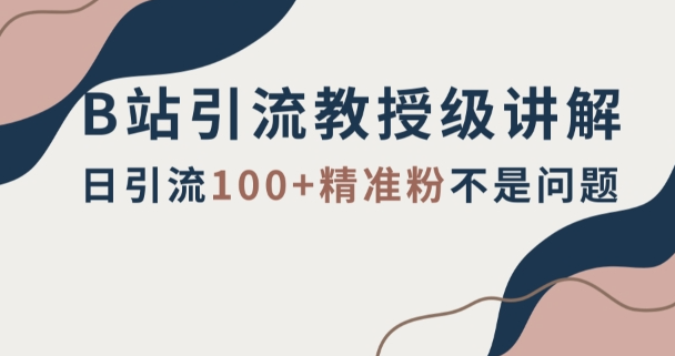 B站引流教授级讲解，细节满满，日引流100+精准粉不是问题【揭秘】-成可创学网