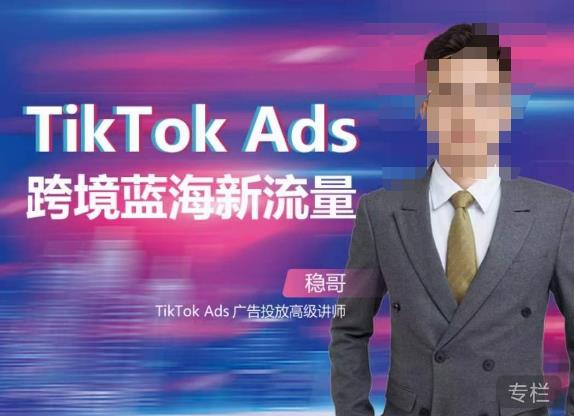 稳哥·如何投出高ROI的TikTok广告，开拓独立站卖家流量新蓝海-成可创学网