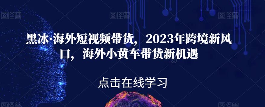 黑冰·海外短视频带货，2023年跨境新风口，海外小黄车带货新机遇-成可创学网