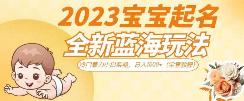 2023宝宝起名全新蓝海玩法，冷门暴力小白实操，日入1000+（全套教程）【揭秘】-成可创学网