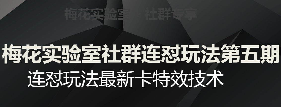 梅花实验室社群连怼玩法第五期，视频号连怼玩法最新卡特效技术-成可创学网