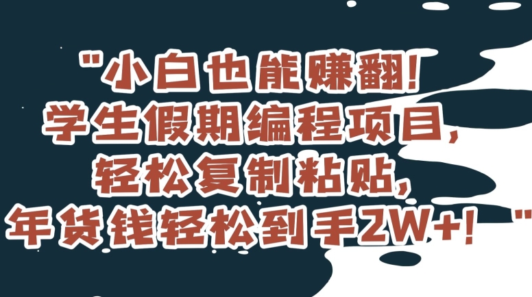 小白也能赚翻！学生假期编程项目，轻松复制粘贴，年货钱轻松到手2W+【揭秘】-成可创学网