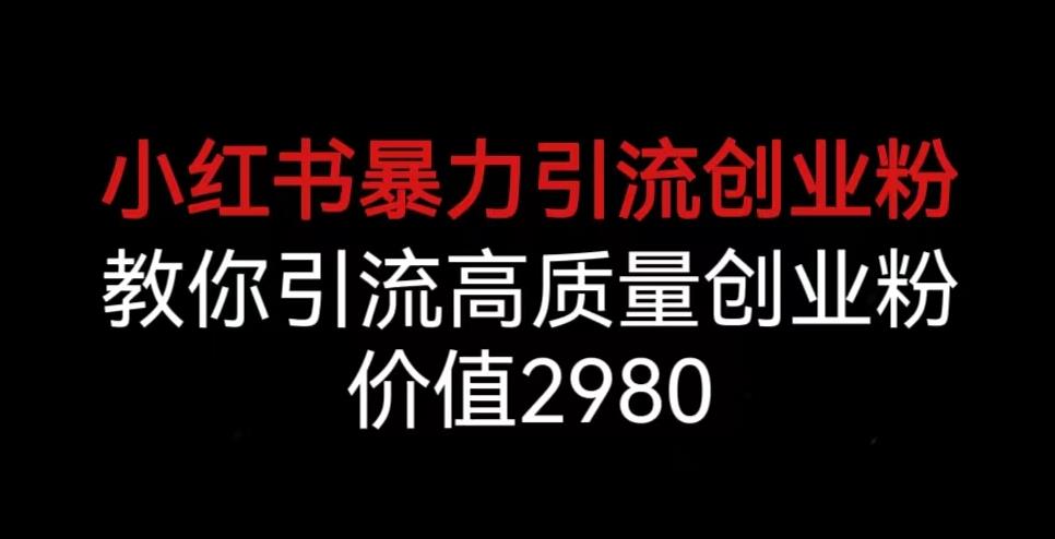 小红书暴力引流创业粉，教你引流高质量创业粉，价值2980【揭秘】-成可创学网