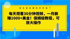 每天观看30分钟视频，一月躺赚1000+美金！保姆级教程，可放大操作【揭秘】-成可创学网