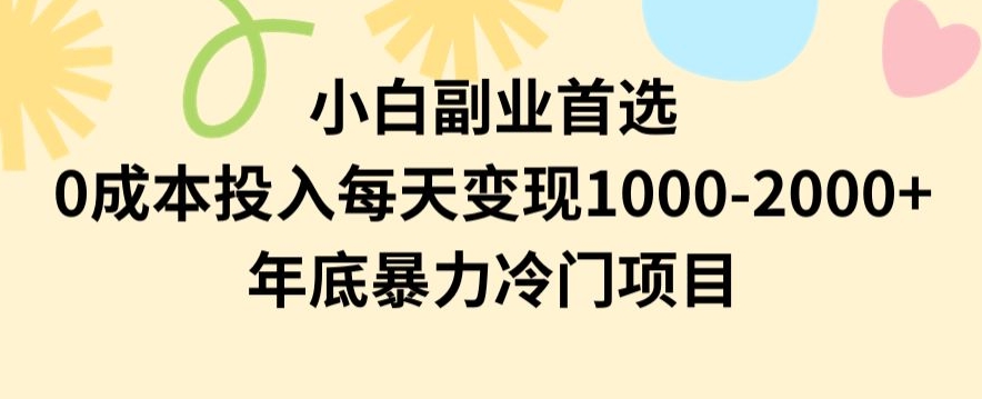 小白副业首选，0成本投入，每天变现1000-2000年底暴力冷门项目【揭秘】-成可创学网