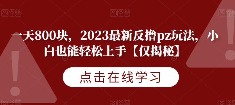 一天800块，2023最新反撸pz玩法，小白也能轻松上手【仅揭秘】-成可创学网