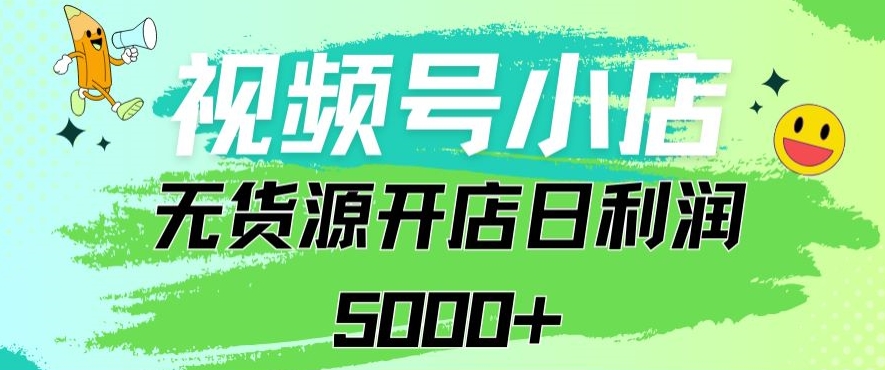 视频号无货源小店从0到1日订单量千单以上纯利润稳稳5000+【揭秘】-成可创学网