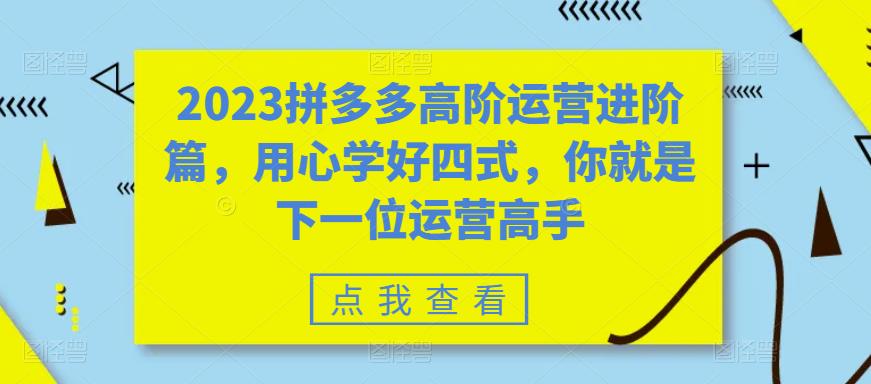 2023拼多多高阶运营进阶篇，用心学好四式，你就是下一位运营高手-成可创学网