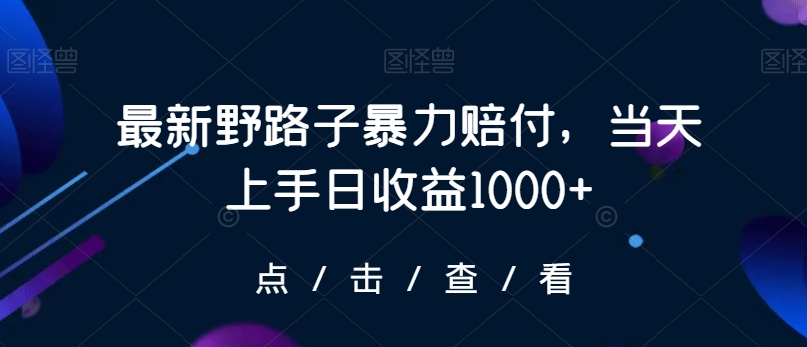 最新野路子暴力赔付，当天上手日收益1000+【仅揭秘】-成可创学网