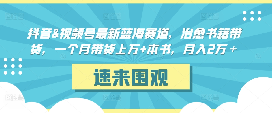 抖音&视频号最新蓝海赛道，治愈书籍带货，一个月带货上万+本书，月入2万＋【揭秘】-成可创学网