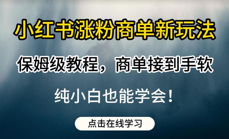 小红书涨粉商单新玩法，保姆级教程，商单接到手软，纯小白也能学会【揭秘】-成可创学网