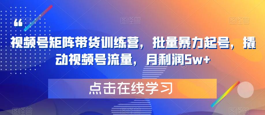 视频号矩阵带货训练营，批量暴力起号，撬动视频号流量，月利润5w+-成可创学网